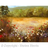Natures Wonder
