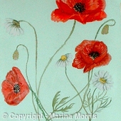 Wild Poppy
