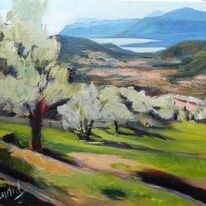 Les Ardrets Olive Grove