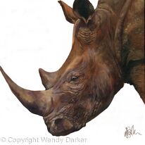 Rhino