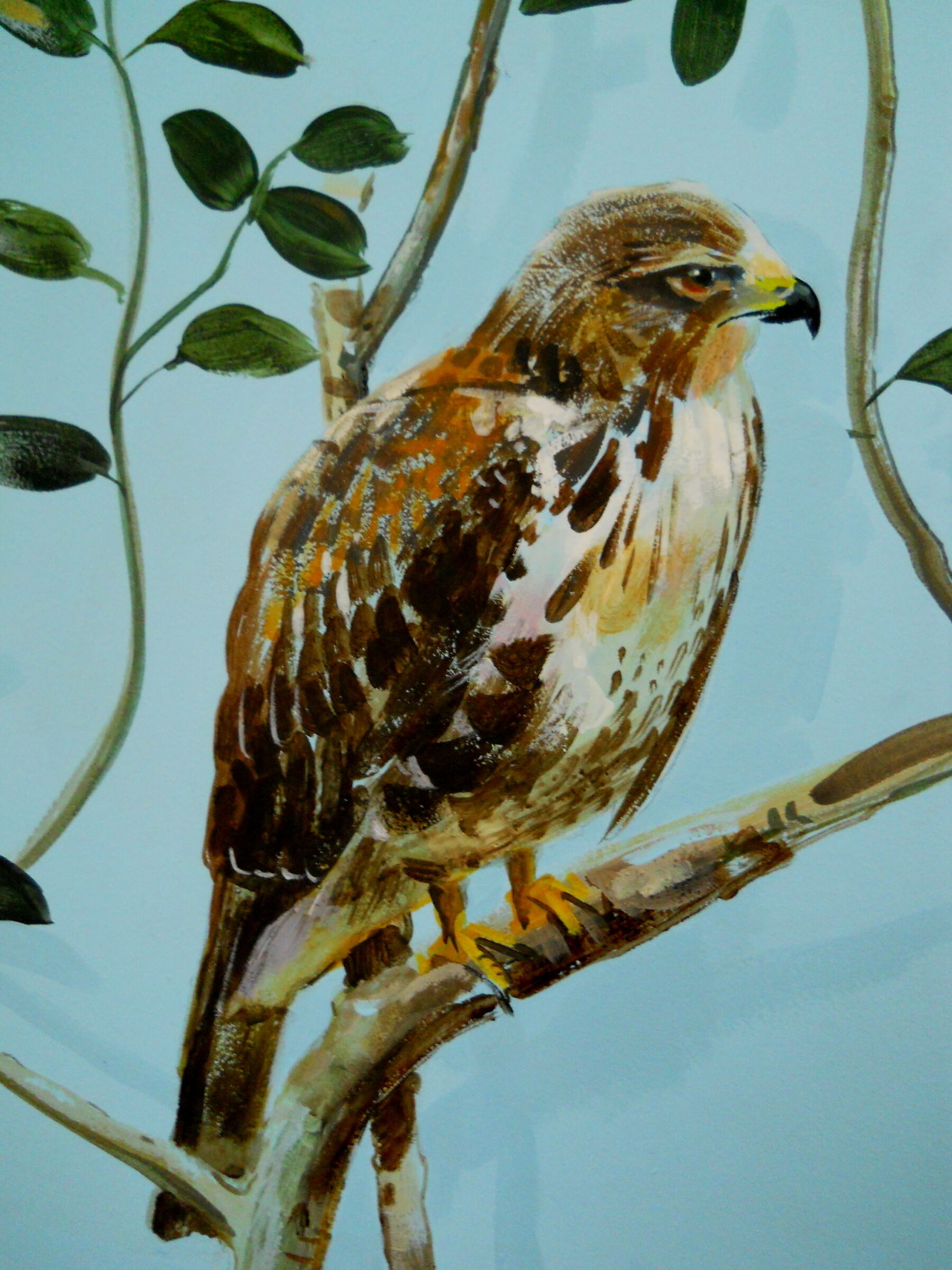 bird-mural-099