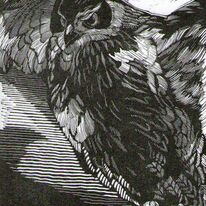 A Very Big Hooter