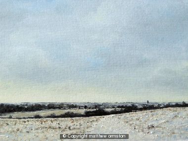 Snow on the Woodlands