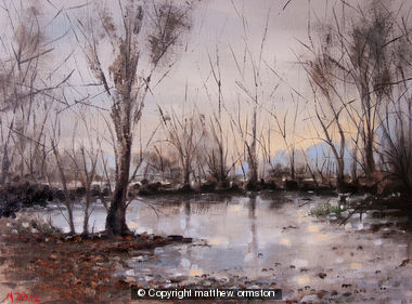 Frozen Pond