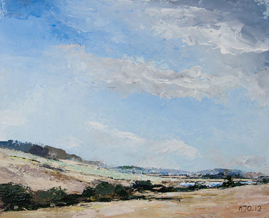 Looking Inland (from chesil beach)