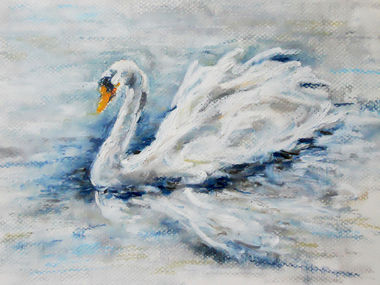 Swan