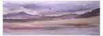 Hartland Moor, near Arne, Dorset