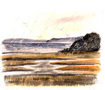 Rainy Day at Arne, Dorset