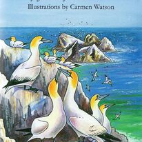 The Birds of Alderney