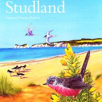 Studland Leaflet