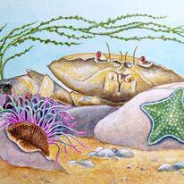 Illustation Work for English Nature