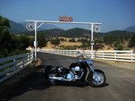 Iron horse