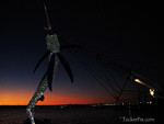 Swordfish art