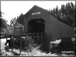 Chitwood Covered Bridge -  Oregon coast