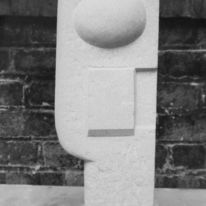 Torso
