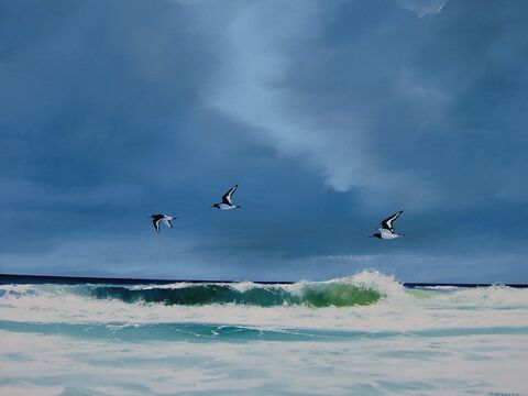 skimming the waves