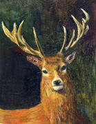 The Monarch