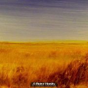 Open Space