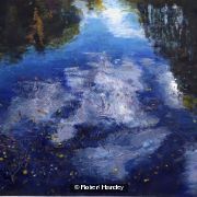 Reflections in a pool
