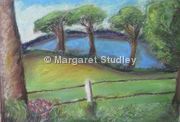 Blue Field At Mannington