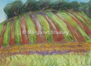 Stripy Field