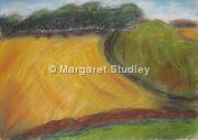 Swirly Field