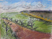 Windy Day at Stiffkey