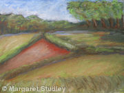 Triangular Field
