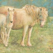 Grey Pony and Foal