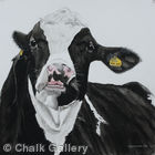Hailsham Jill 38