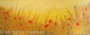 Gold Poppy Field