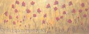 Dusky Poppy field 