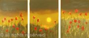 Chocolate Sunset Poppy Field Triptych