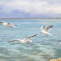Seagull's Flight