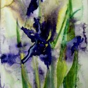 iris inspiration 1 