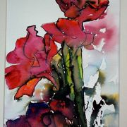 Amazing Amaryllis
