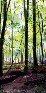 Spring Beech Trees