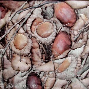 Little acorns