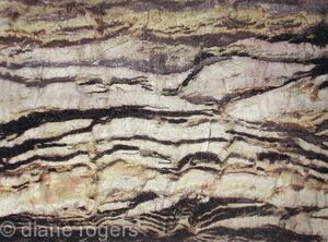 Ridges