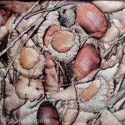 Little acorns