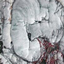 Wooden Embryo