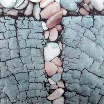 Pebble T