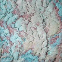Jewel Bark 2