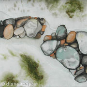 rock-pool-with-seaweed