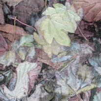autumn-leaves