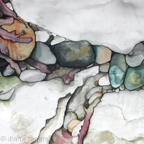 Seaweed in Rock pool