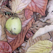 Seed