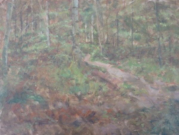 Woodland Path