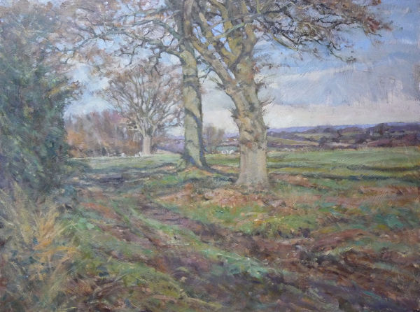 Autumn Trees