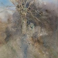 A Quiet Corner